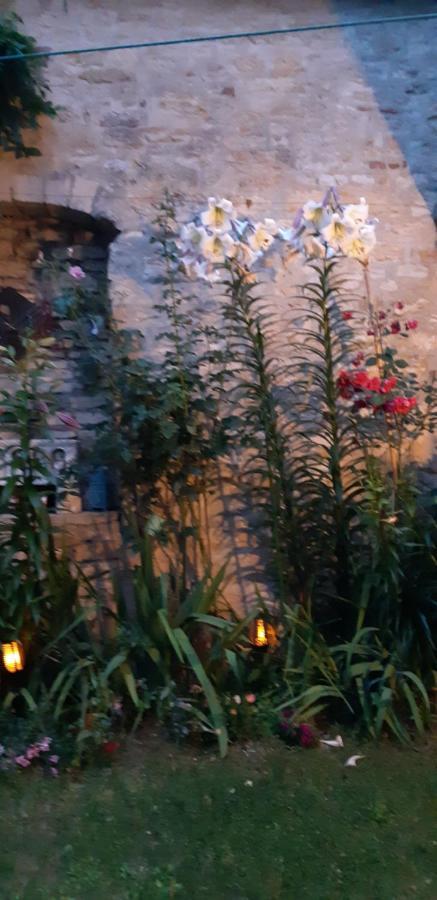Bell'Accueil Chambres D'Hotes Cluny Kültér fotó
